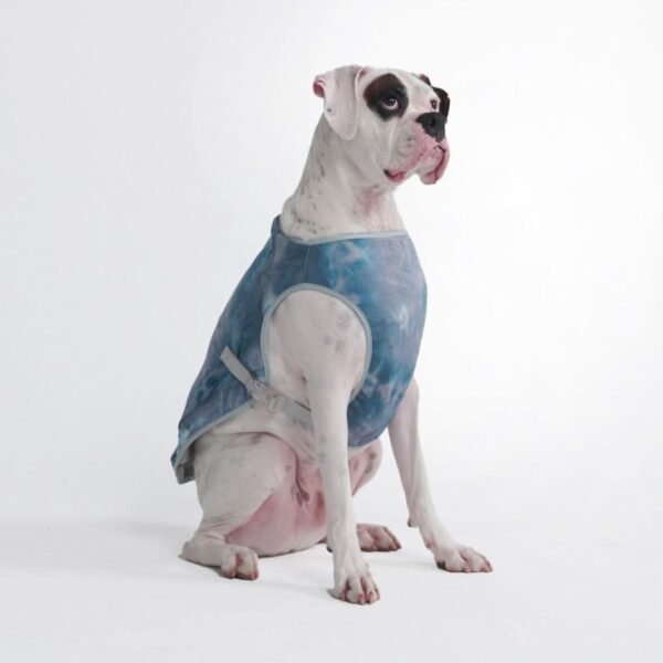 Dog Cooling Vest - Ice Blue - Image 4