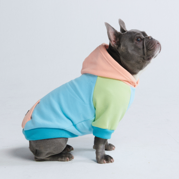 Jelly Bean Dog Hoodie - Image 7
