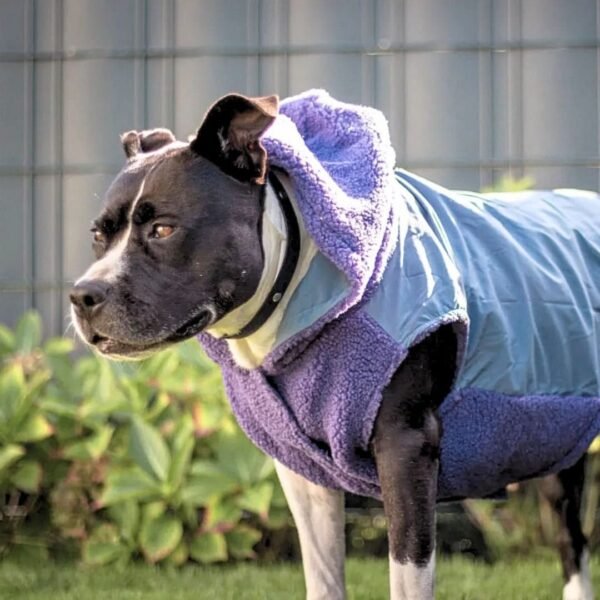 Reversible Sherpa Jacket - Purple and Blue - Image 2