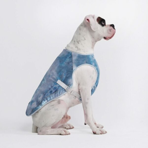 Dog Cooling Vest - Ice Blue - Image 2