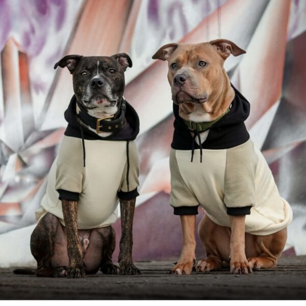 Olive Cream Dog Hoodie - Image 4