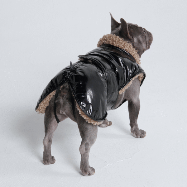 Slip-on Insulated Jacket - Gloss Black - Image 4
