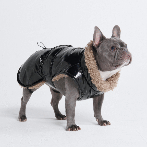 Slip-on Insulated Jacket - Gloss Black - Image 6