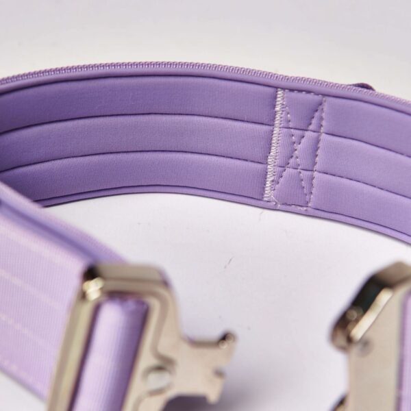 Comfort Control Collar Set - Lilac - Image 5