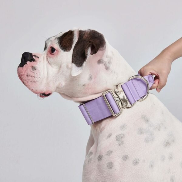 Comfort Control Collar Set - Lilac - Image 6