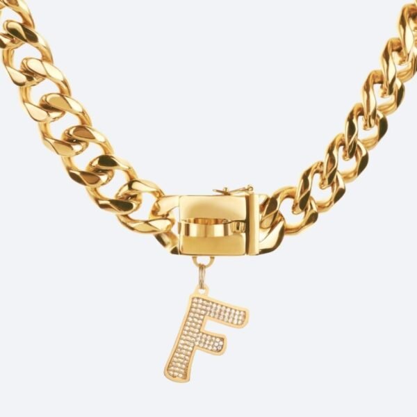 Initial Letter Jewelry Tag - F - Image 4