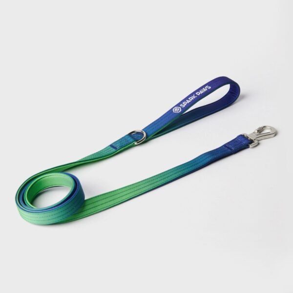 Comfort Control No-Pull Dog Harness Set - Lime Wave - Image 6