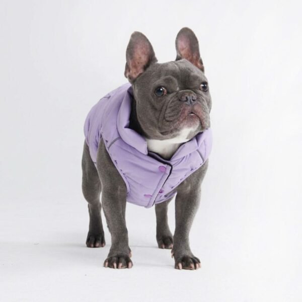 WarmShield Water-Resistant Jacket - Lilac - Image 5