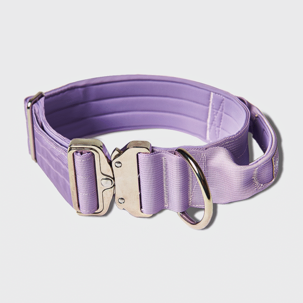 Comfort Control Collar Set - Lilac - Image 2