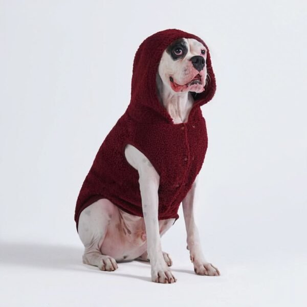 Teddy Sherpa Dog Jacket - Maroon - Image 7