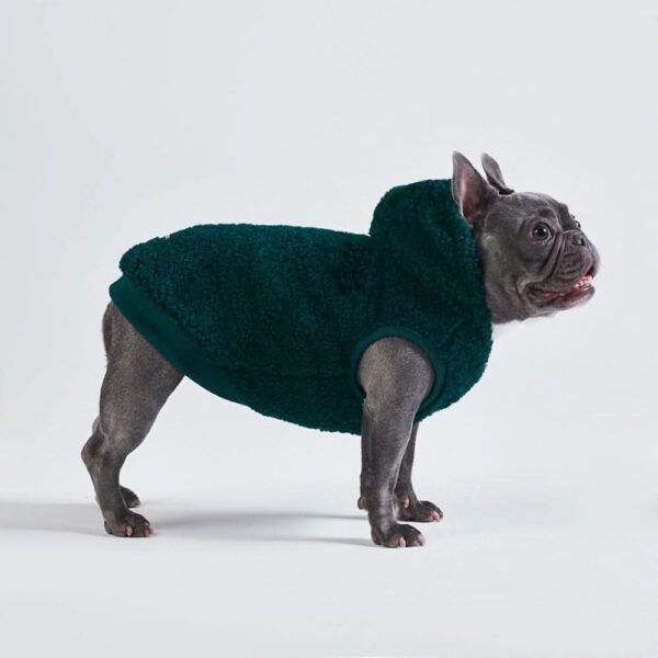Teddy Sherpa Dog Jacket - Pine Green - Image 5