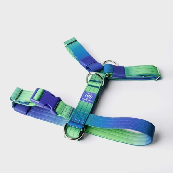 Comfort Control No-Pull Dog Harness Set - Lime Wave - Image 5