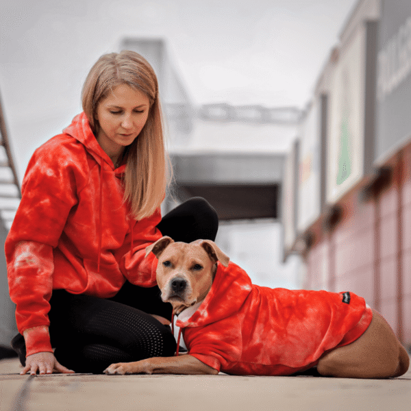 Velvet Dog Hoodie - Ruby Red - Image 3