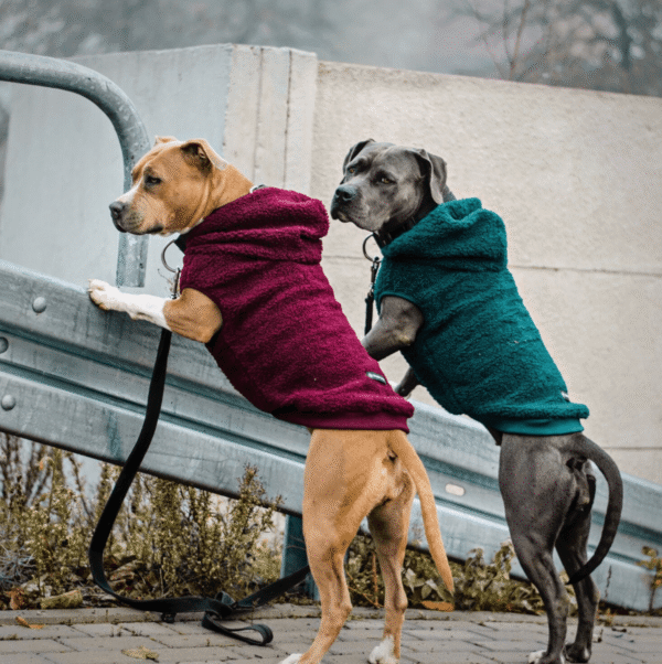 Teddy Sherpa Dog Jacket - Maroon - Image 6