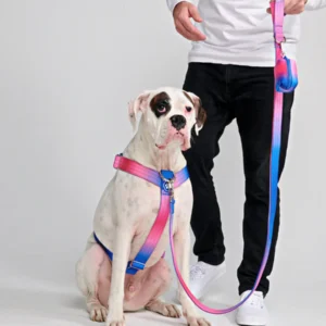 Comfort Control Dog Collars