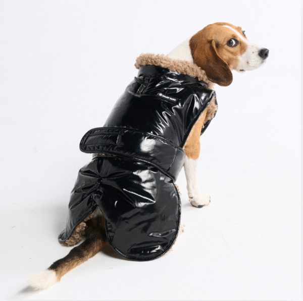 Slip-on Insulated Jacket - Gloss Black - Image 2