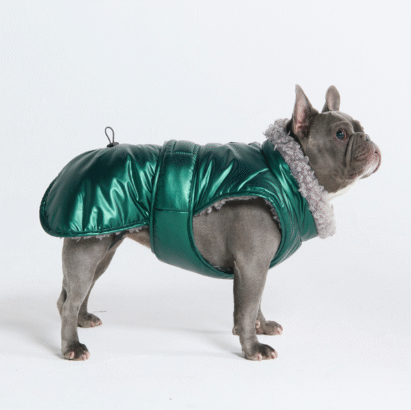 Slip-on Insulated Jacket - Metallic Green - Image 2