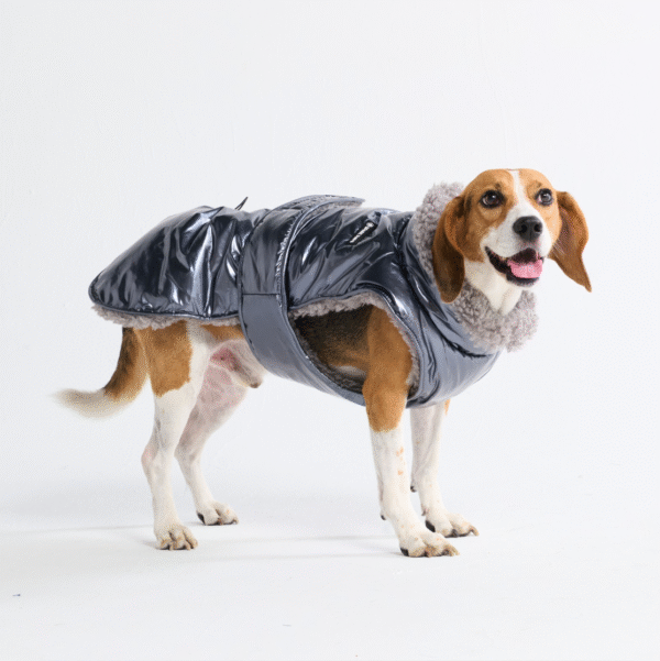 Slip-on Insulated Jacket - Metallic Silver - Image 4