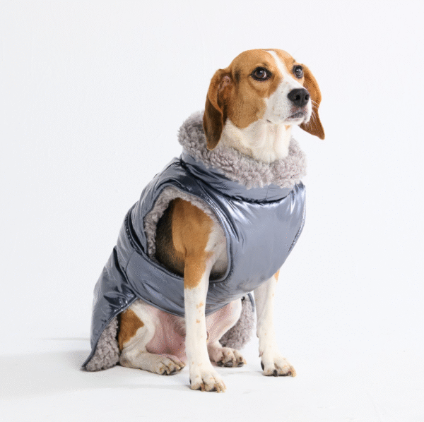 Slip-on Insulated Jacket - Metallic Silver - Image 5