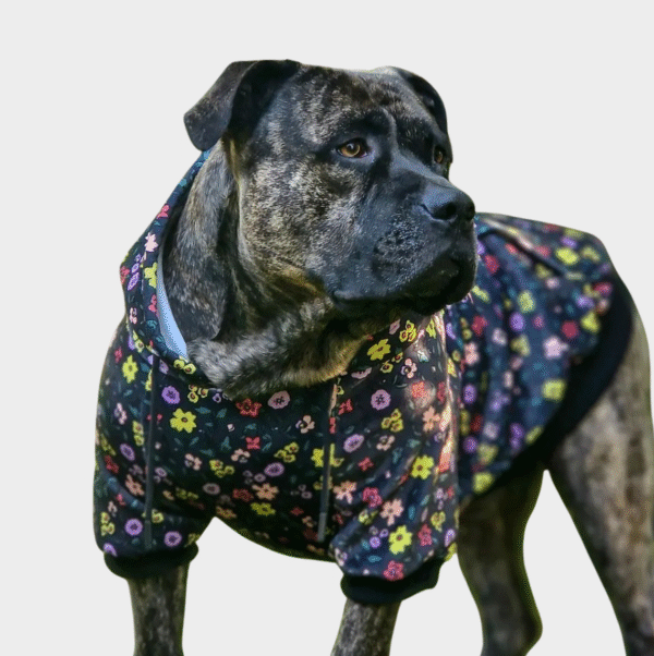 Vintage Flower Dog Hoodie - Black - Image 2