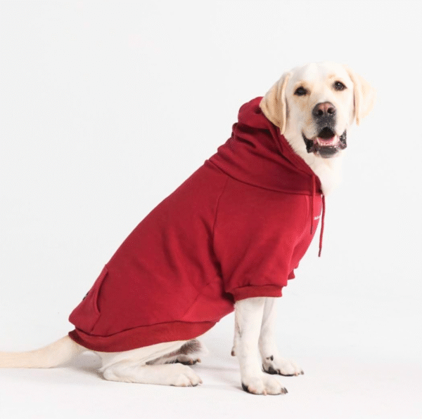 Essential Dog Hoodie - Burgundy - Image 8