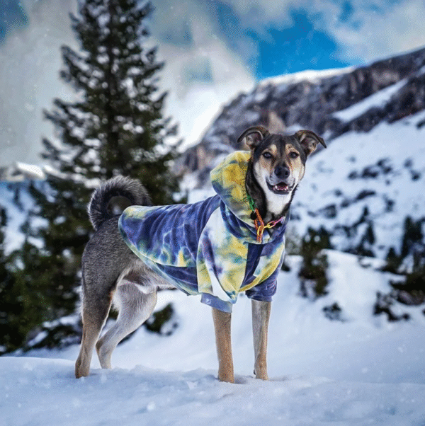 Velvet Dog Hoodie - Nova - Image 7