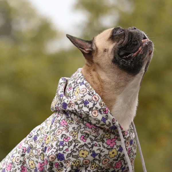 Vintage Flower Dog Hoodie - Light Grey - Image 3