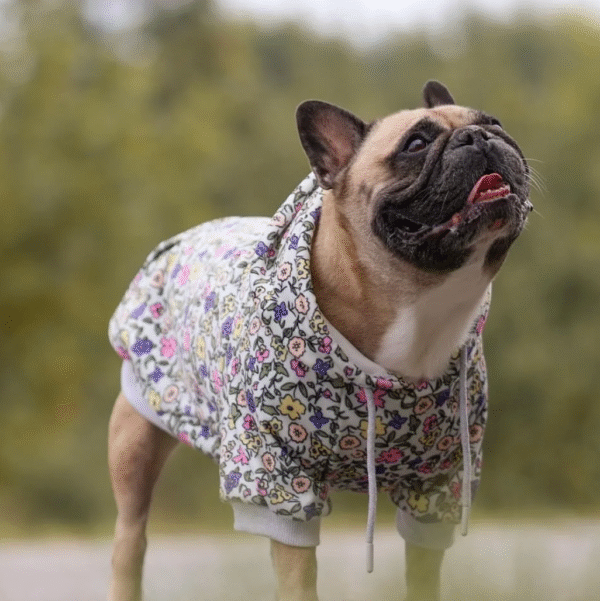 Vintage Flower Dog Hoodie - Light Grey - Image 2