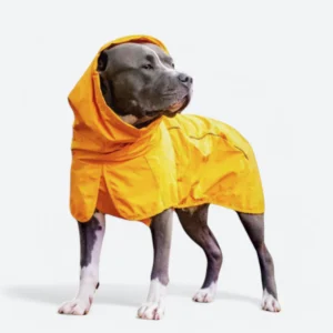 Dog Raincoat