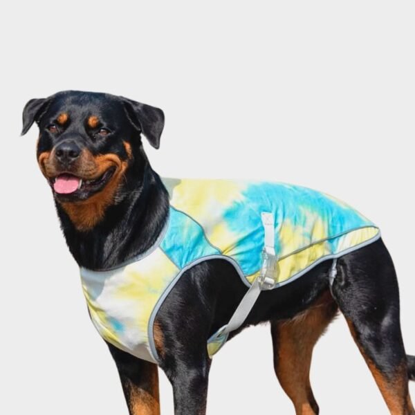 Dog Cooling Vest - Tropical Storm - Image 2