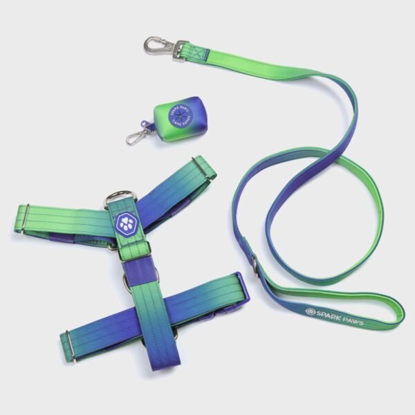 Comfort Control No-Pull Dog Harness Set - Lime Wave - Image 2