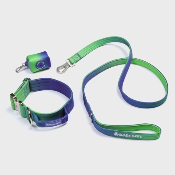 Comfort Control Collar Set - Lime Wave - Image 2