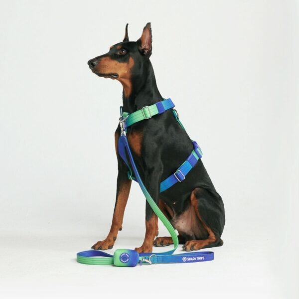 Comfort Control No-Pull Dog Harness Set - Lime Wave - Image 4