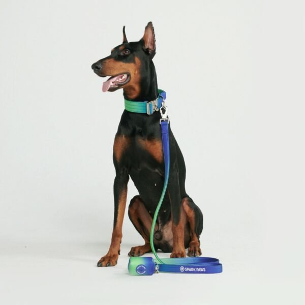 Comfort Control Collar Set - Lime Wave - Image 4
