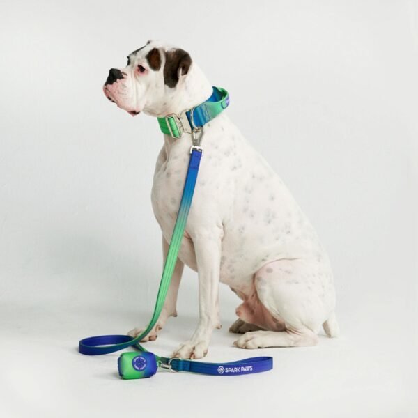 Comfort Control Collar Set - Lime Wave - Image 3