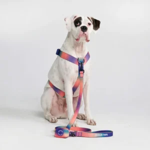 Comfort Control No-Pull Dog Harness