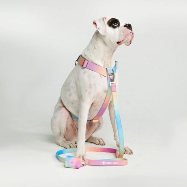 Comfort Control No-Pull Dog Harness Set - Pastel Icing - Image 2
