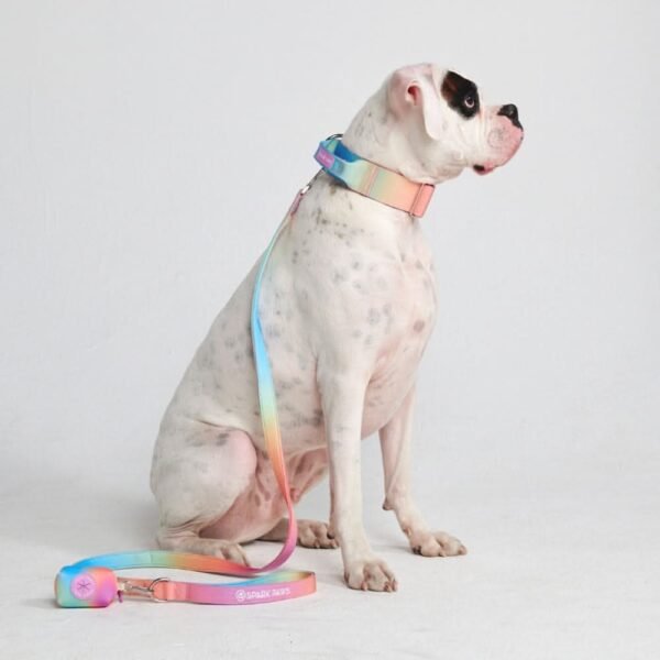 Comfort Control Collar Set - Pastel Icing - Image 4