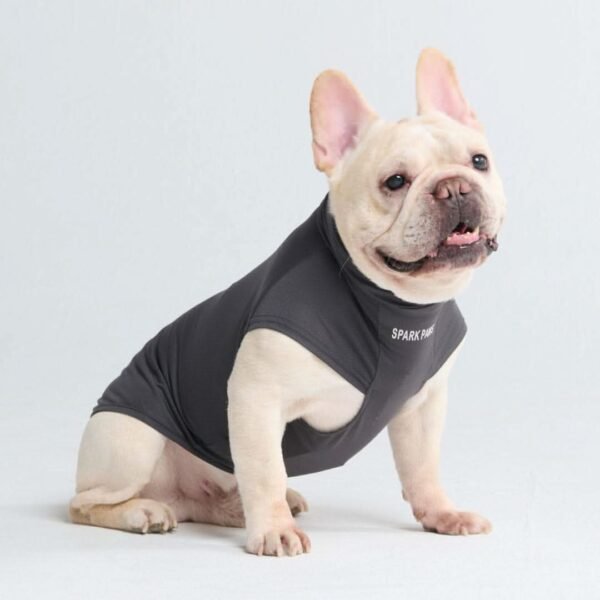 Sunblock Dog T-Shirt - Dark Grey - Image 3