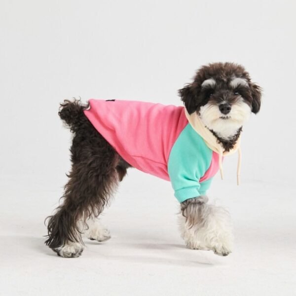 Pink Turquoise Cream Color Block Dog Hoodie - Image 3