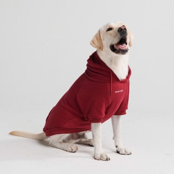 Essential Dog Hoodie - Burgundy - Image 5