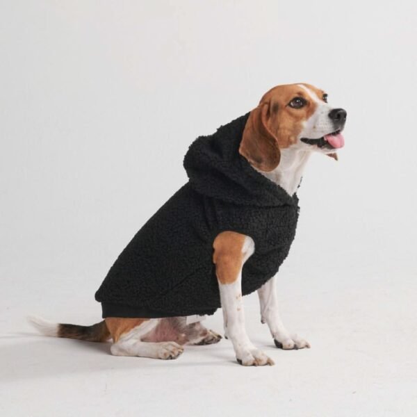 Teddy Sherpa Dog Jacket - Black - Image 4