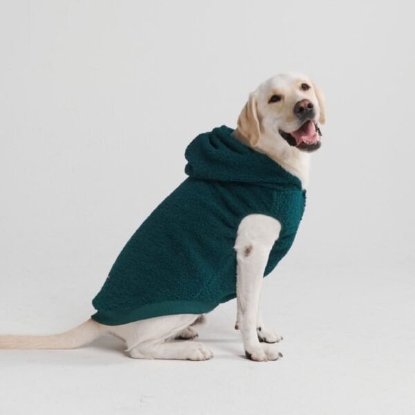Teddy Sherpa Dog Jacket - Pine Green - Image 3