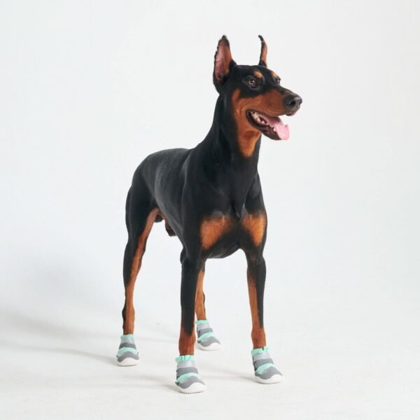 Hot Pavement Pawtector Dog Shoes - Teal - Image 2