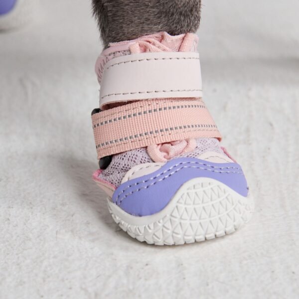 Hot Pavement Pawtector Dog Shoes - Pink Purple - Image 3