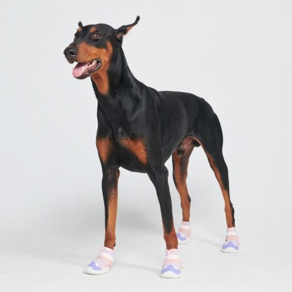 Hot Pavement Pawtector Dog Shoes - Pink Purple - Image 5