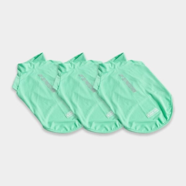 Sunblock Dog T-Shirt - Mint - Image 7
