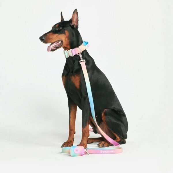 Comfort Control Collar Set - Pastel Icing - Image 3