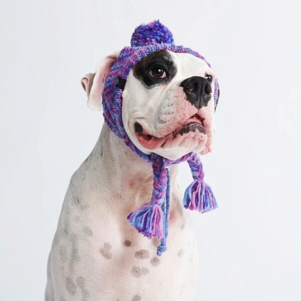 Knit Pom Pom Dog Beanie Hat - Purple & Lavender - Image 2