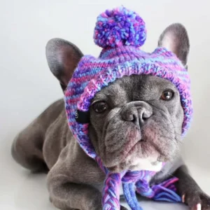 Dog Hats & Accessories